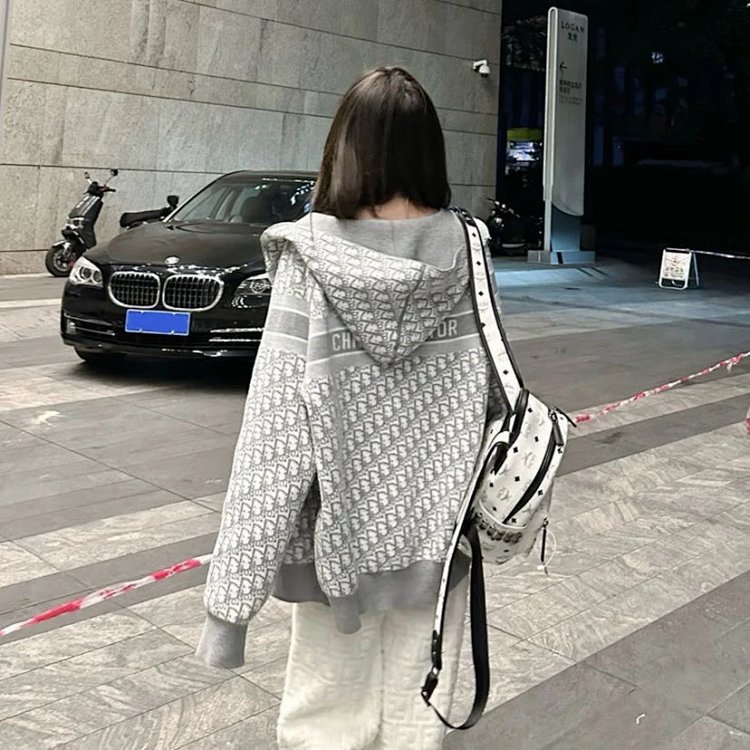 DIOR Light luxury full print spring and autumn jacket, unisex trendy brand cardigan and hooded j | Outfitreps Spreadsheet