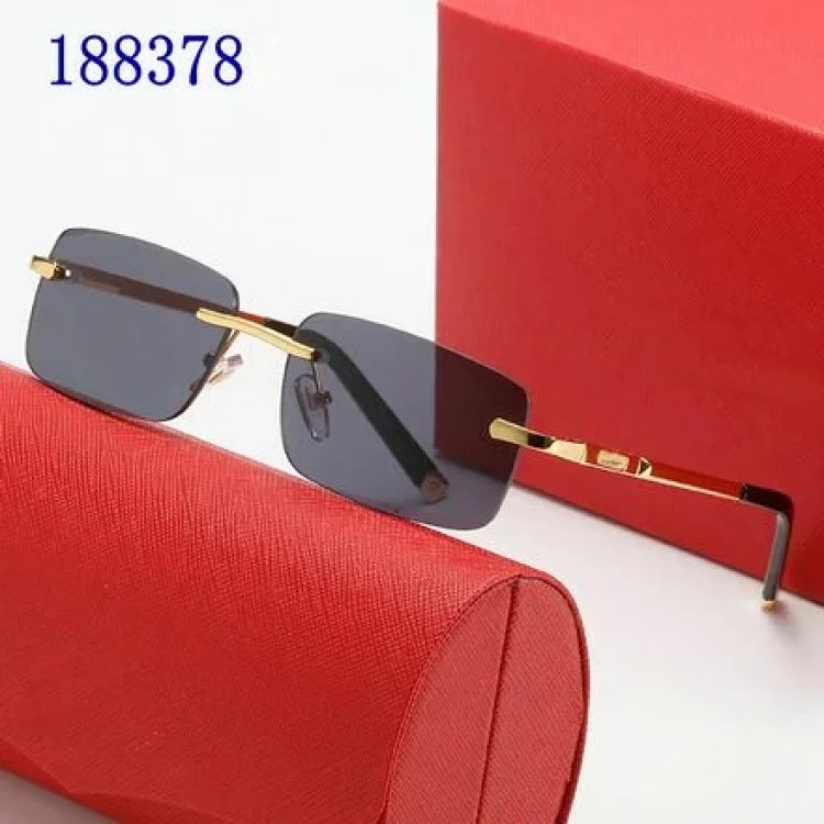 Brand glasses collection-68