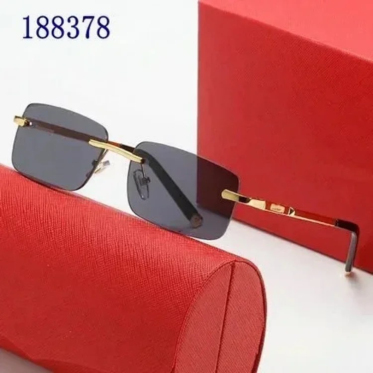 OG1 P glasses