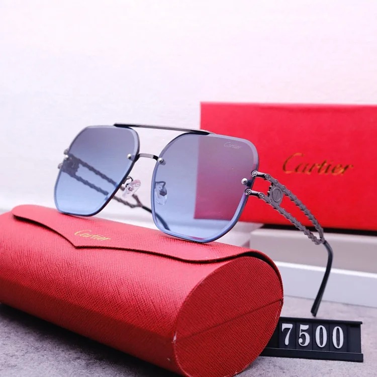 NEW-1 Not all sunglasses are called 