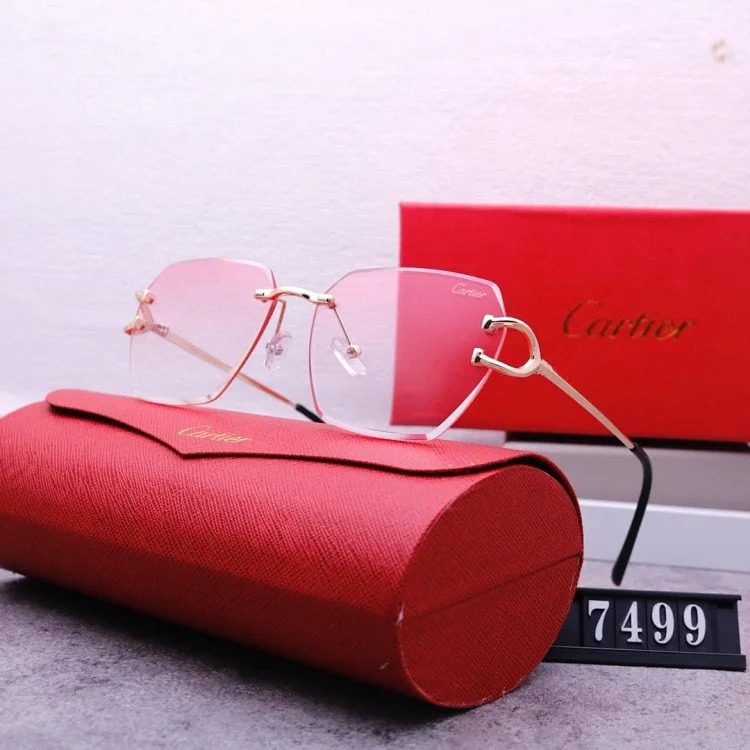 NEW-1 Not all sunglasses are called 