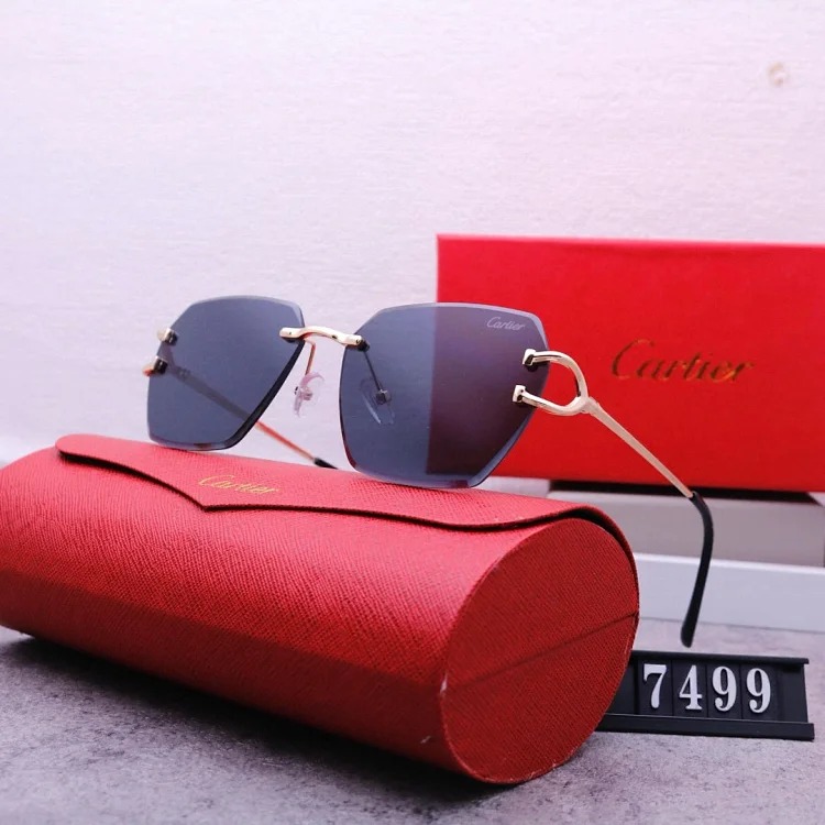 NEW-1 Not all sunglasses are called 