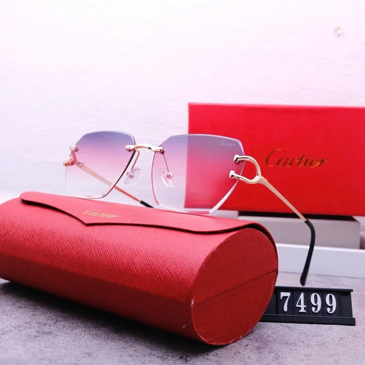 NEW-1 Not all sunglasses are called 