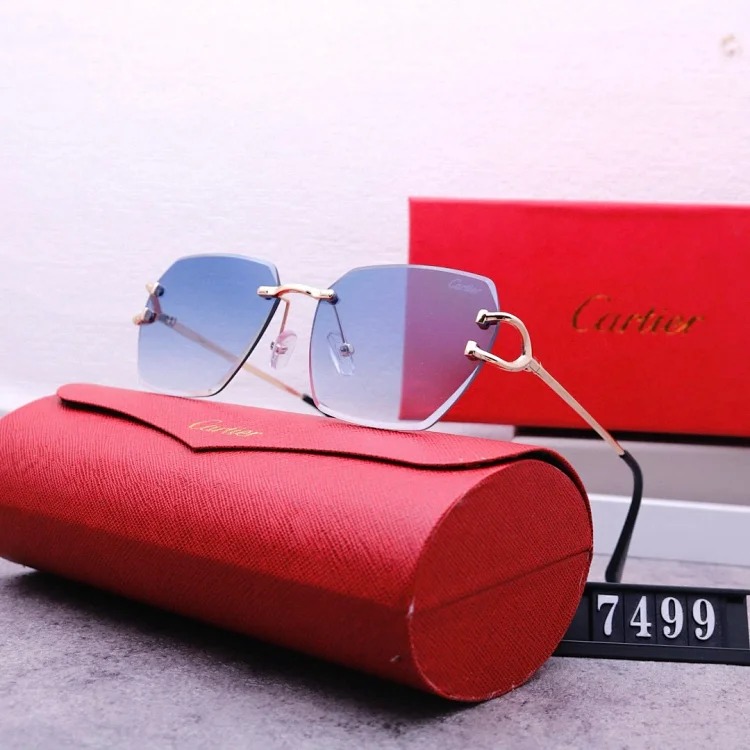 NEW-1 Not all sunglasses are called 