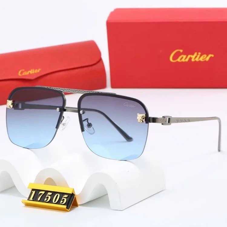 NEW-1 Not all sunglasses are called 