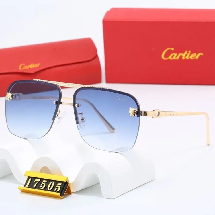 NEW-1 Not all sunglasses are called 