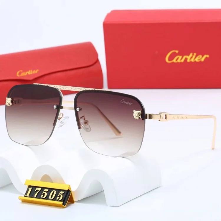 NEW-1 Not all sunglasses are called 