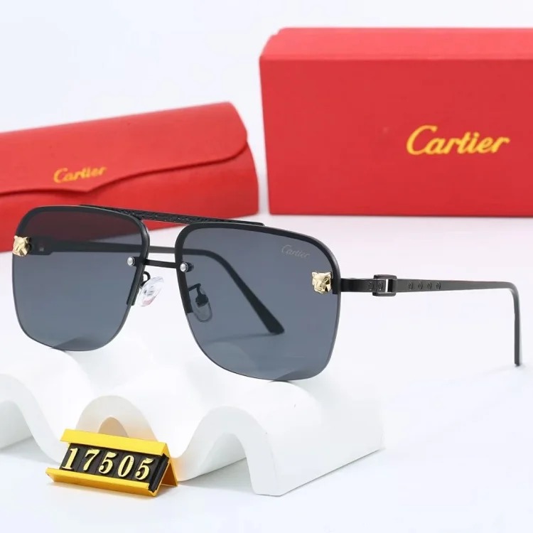 NEW-1 Not all sunglasses are called 