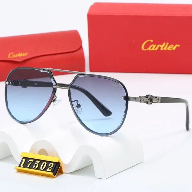 NEW-1 Not all sunglasses are called 