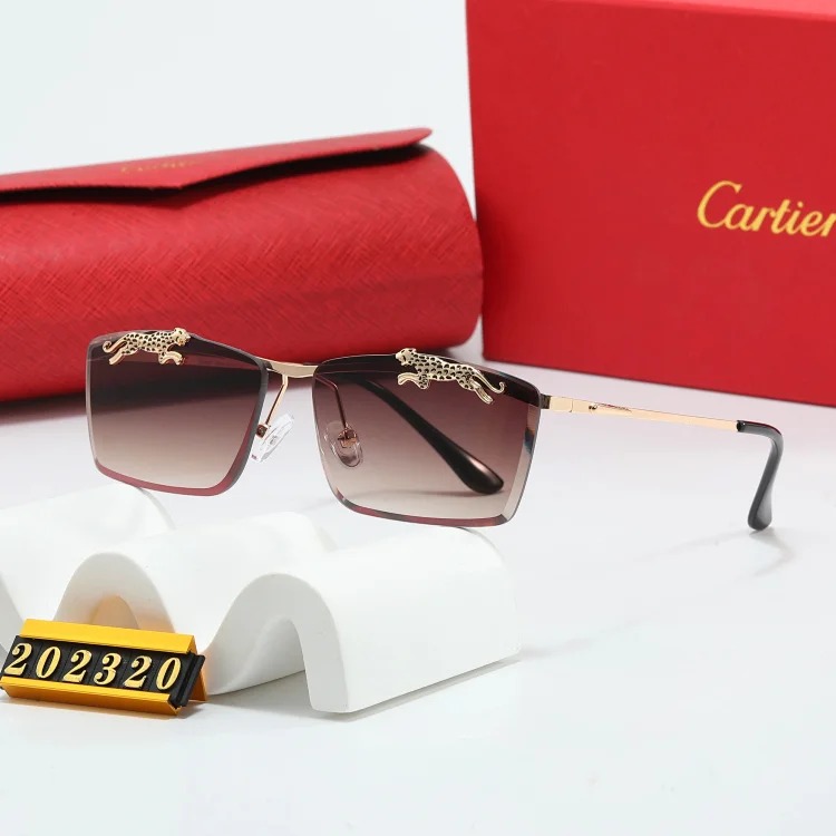 NEW-1 Not all sunglasses are called 
