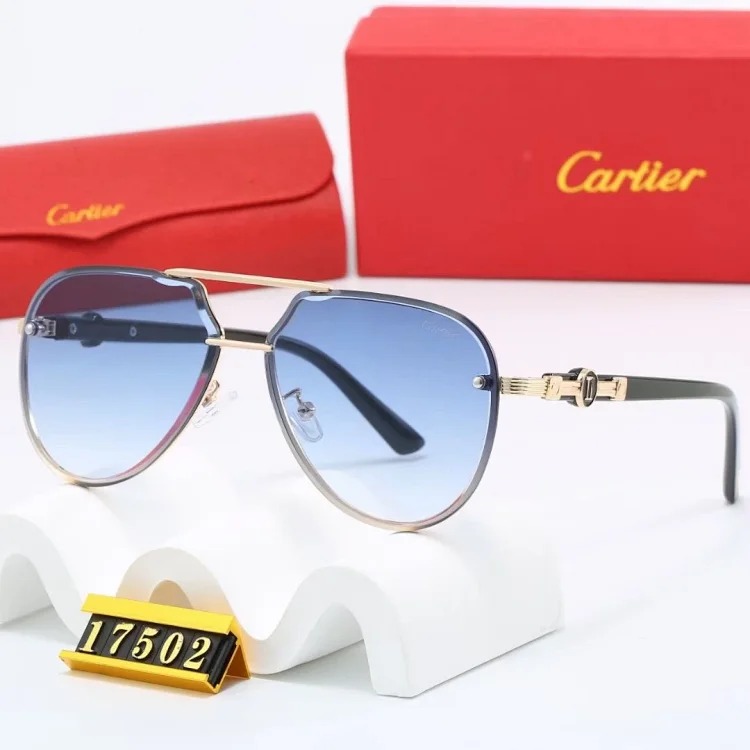 NEW-1 Not all sunglasses are called 