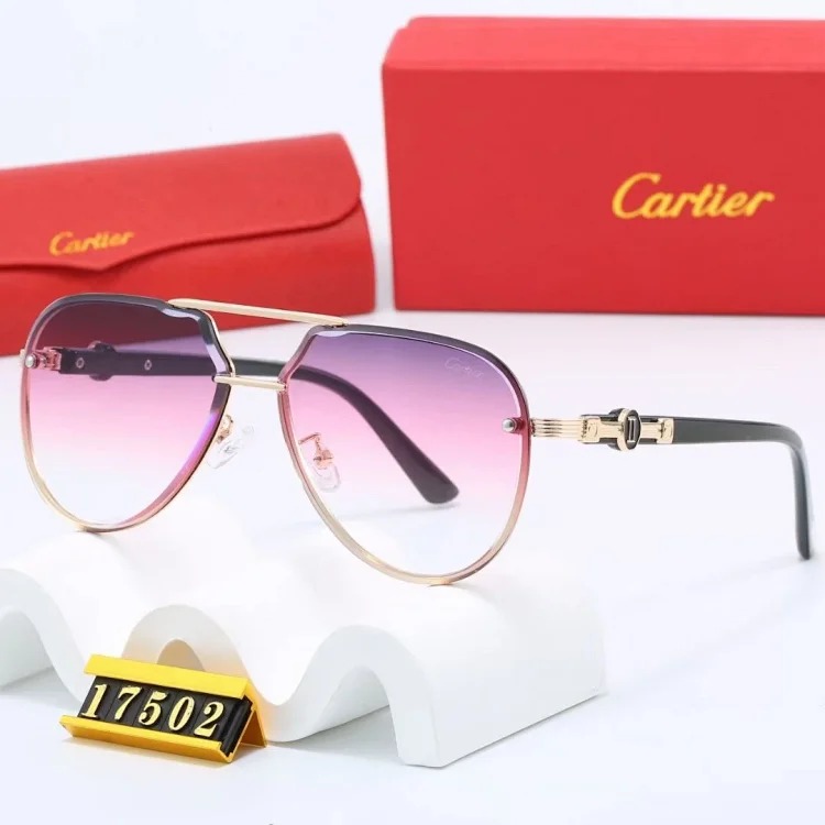 NEW-1 Not all sunglasses are called 