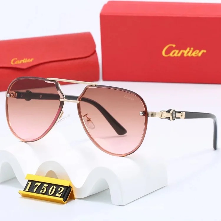 NEW-1 Not all sunglasses are called 