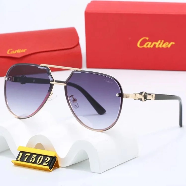 NEW-1 Not all sunglasses are called 