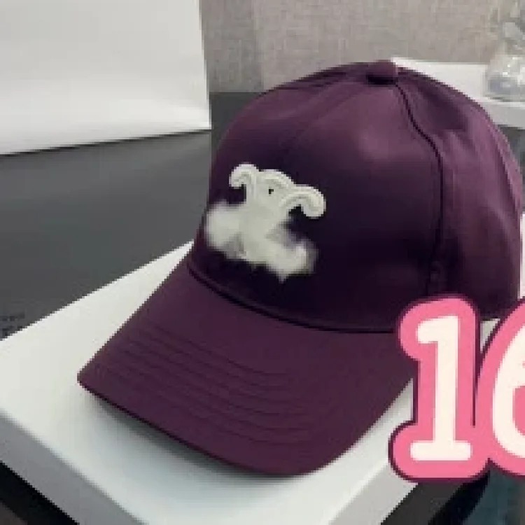 Celine Ce's correct of the baseball cap Arc de Triomphe simple style star's same style versatile quality hat shape good big head circumference hat