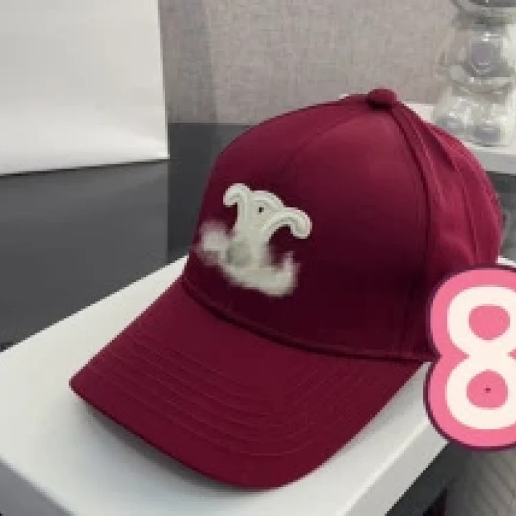 Celine Ce's correct of the baseball cap Arc de Triomphe simple style star's same style versatile quality hat shape good big head circumference hat