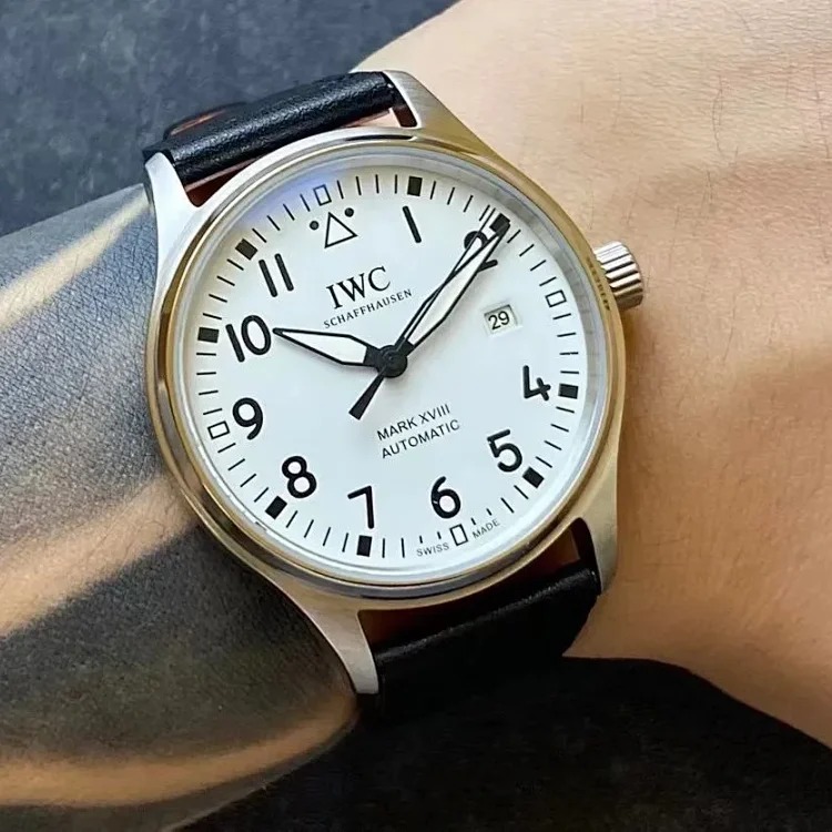 DX187 stainless steel mechanical men's watch with simple dial, business design and niche watch