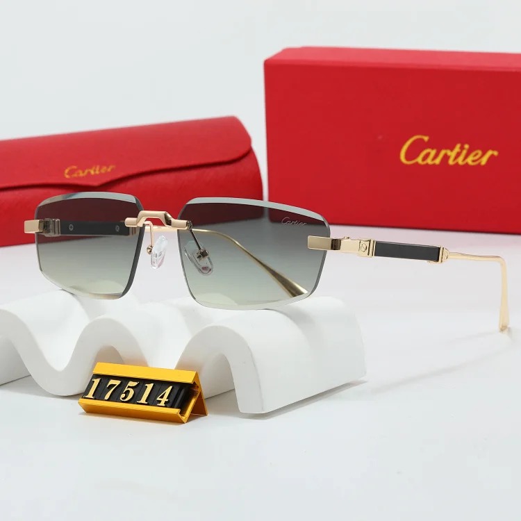 NEW-1 When you put on these sunglasses, the world becomes a few degrees darker, but you are the only one who shines brightly.
