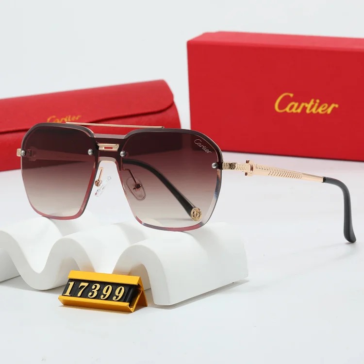 NEW-1 When you put on these sunglasses, the world becomes a few degrees darker, but you are the only one who shines brightly.