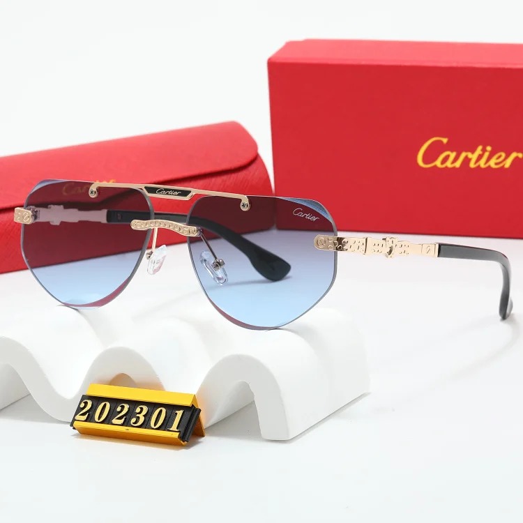 NEW-1 When you put on these sunglasses, the world becomes a few degrees darker, but you are the only one who shines brightly.