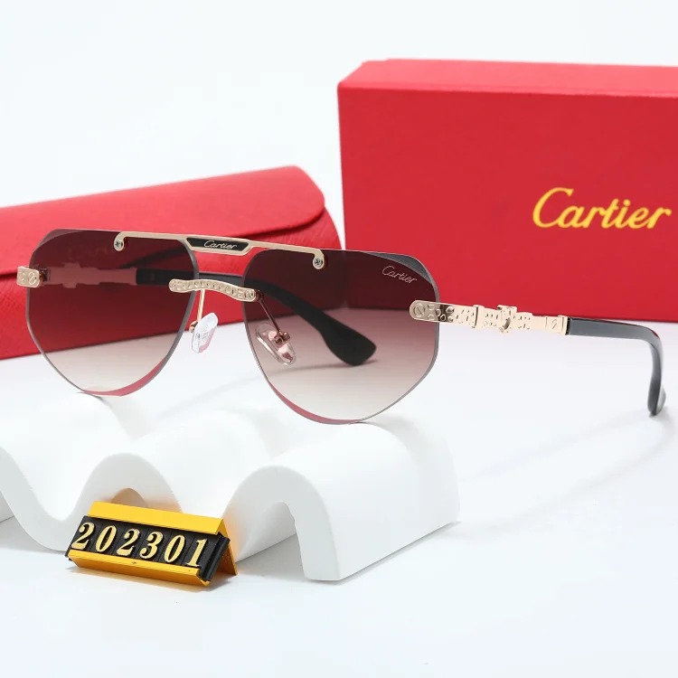 NEW-1 When you put on these sunglasses, the world becomes a few degrees darker, but you are the only one who shines brightly.
