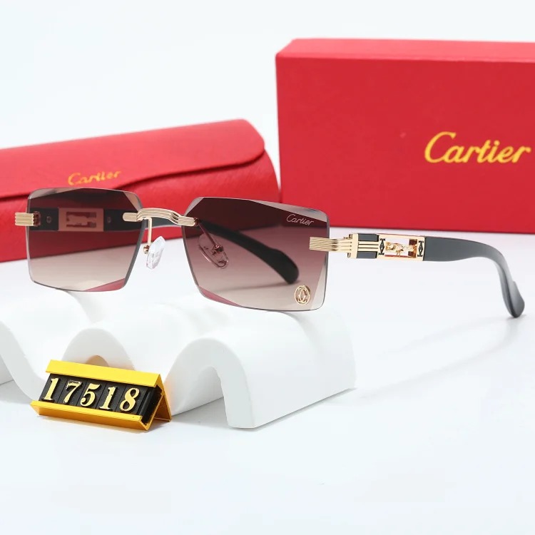 NEW-1 When you put on these sunglasses, the world becomes a few degrees darker, but you are the only one who shines brightly.