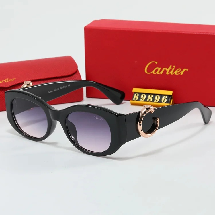 NEW-1 When you put on these sunglasses, the world becomes a few degrees darker, but you are the only one who shines brightly.