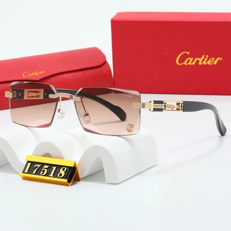 NEW-1 When you put on these sunglasses, the world becomes a few degrees darker, but you are the only one who shines brightly.