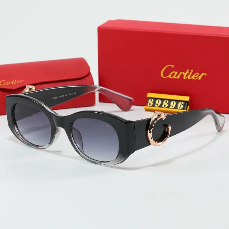 NEW-1 When you put on these sunglasses, the world becomes a few degrees darker, but you are the only one who shines brightly.