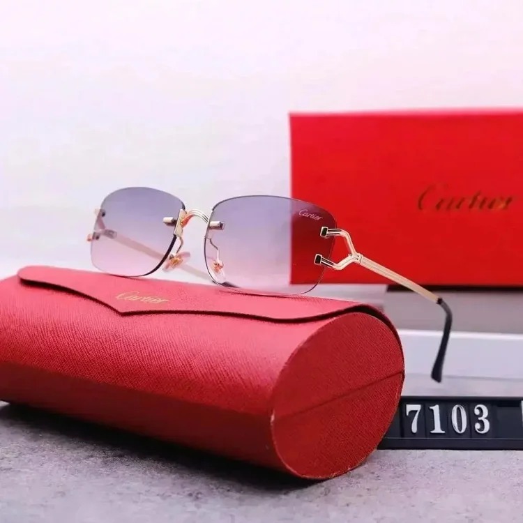 2025 new fashion sunglasses
