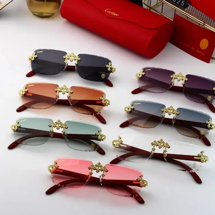 2025 new fashion sunglasses-CY