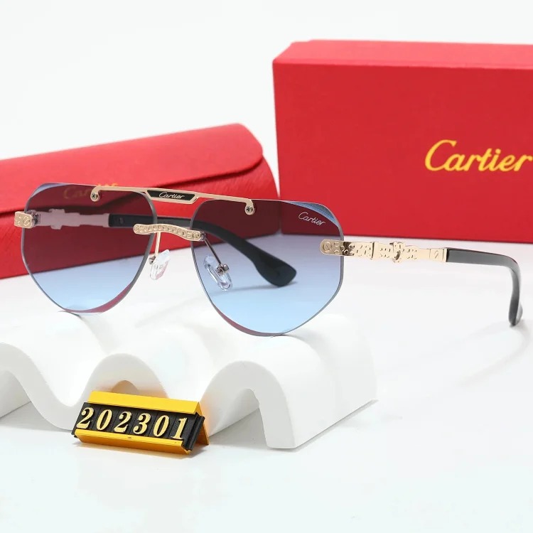 New fashion trendy sunglasses 076