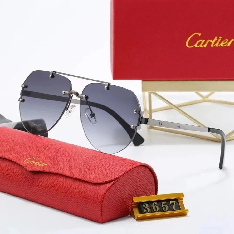 New fashion trendy sunglasses 076