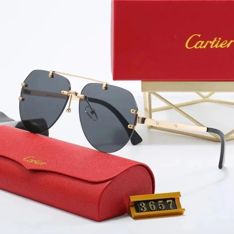 New fashion trendy sunglasses 076