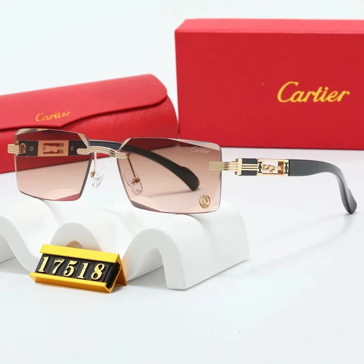 New fashion trendy sunglasses 076