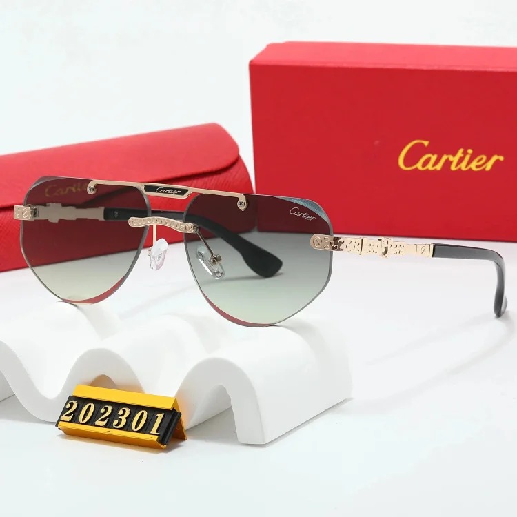 New fashion trendy sunglasses 076