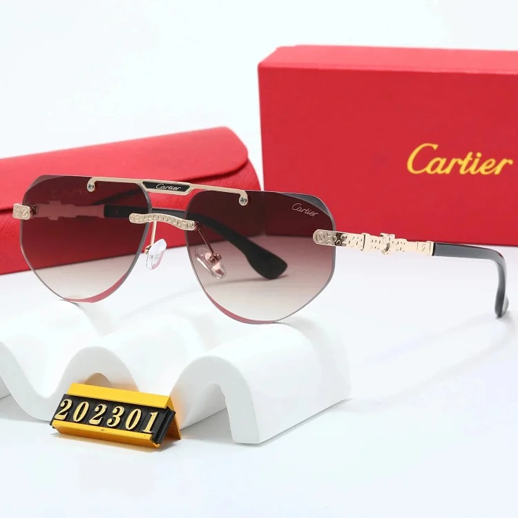 New fashion trendy sunglasses 076