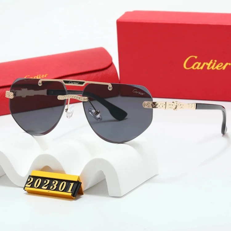 New fashion trendy sunglasses 076