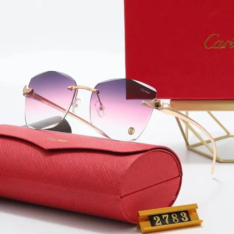 New fashion trendy sunglasses 076