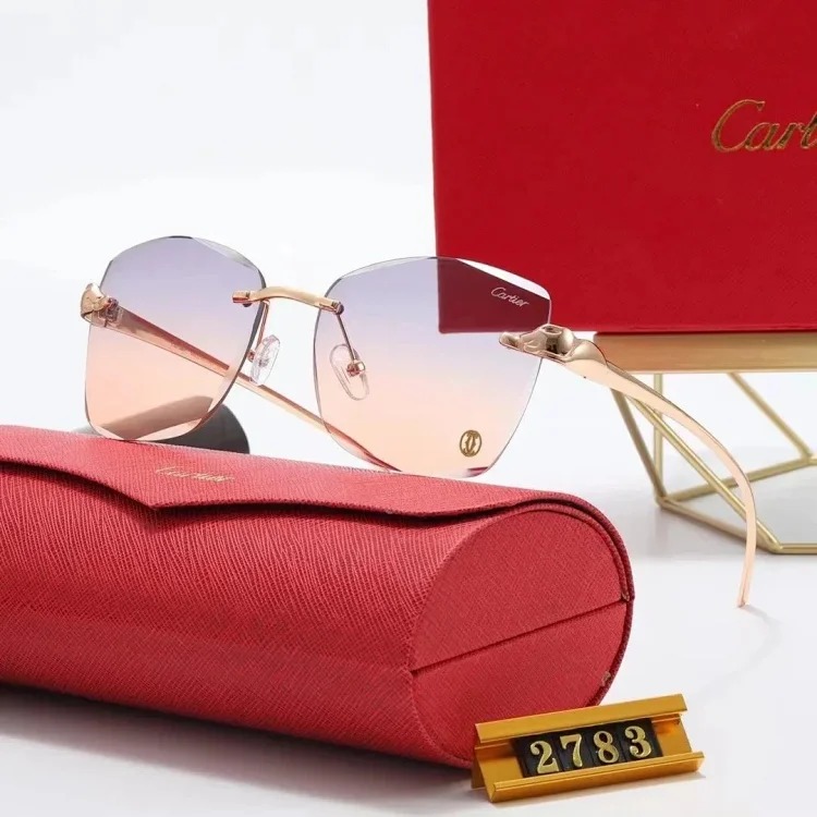 New fashion trendy sunglasses 076