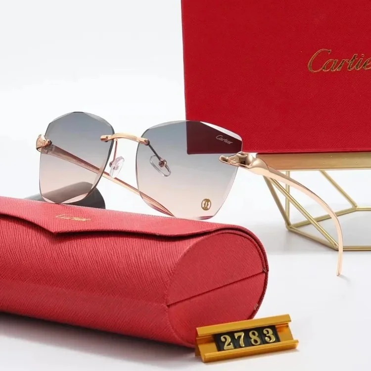 New fashion trendy sunglasses 076