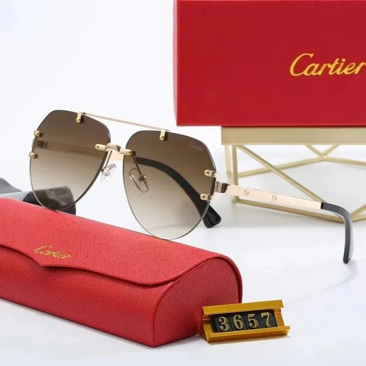 New fashion trendy sunglasses 076