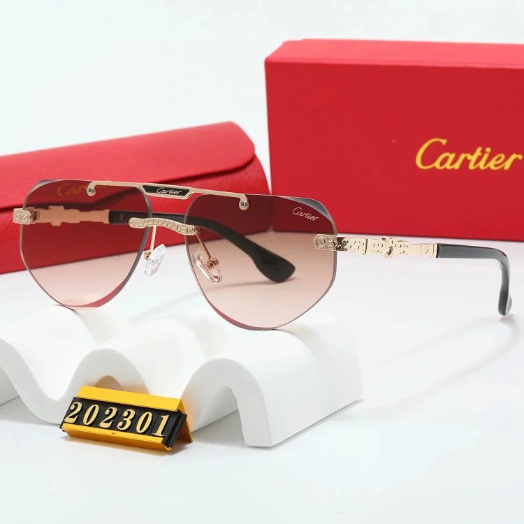 New fashion trendy sunglasses 076