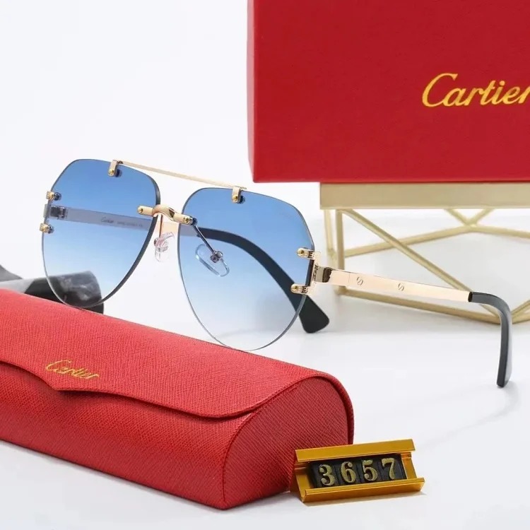 New fashion trendy sunglasses 076