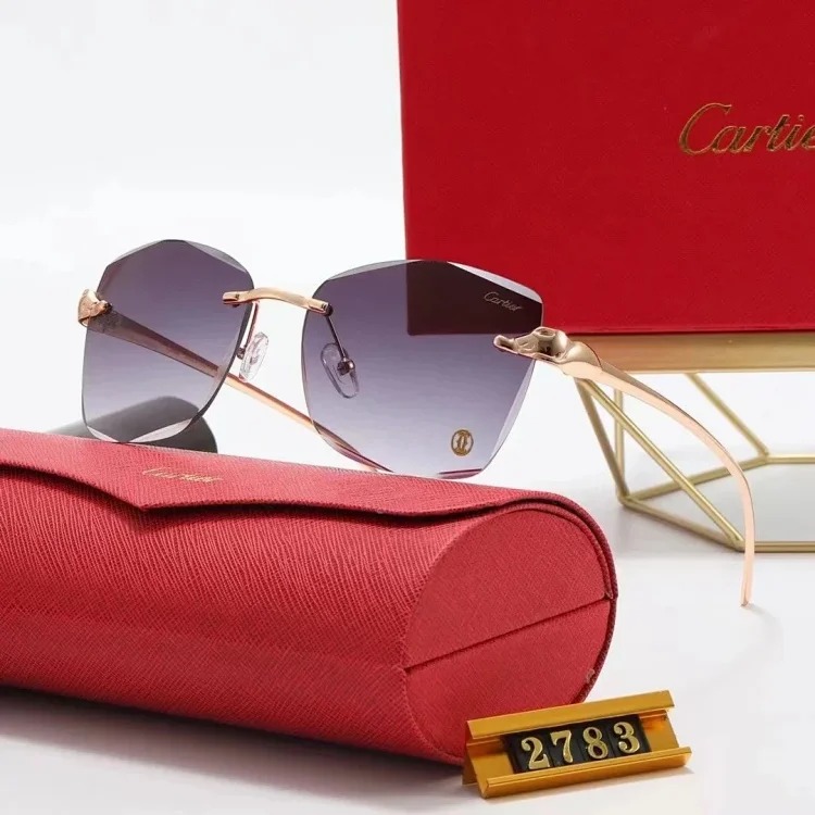 New fashion trendy sunglasses 076