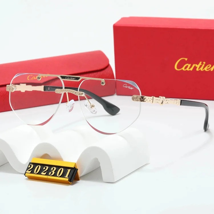 New fashion trendy sunglasses 076