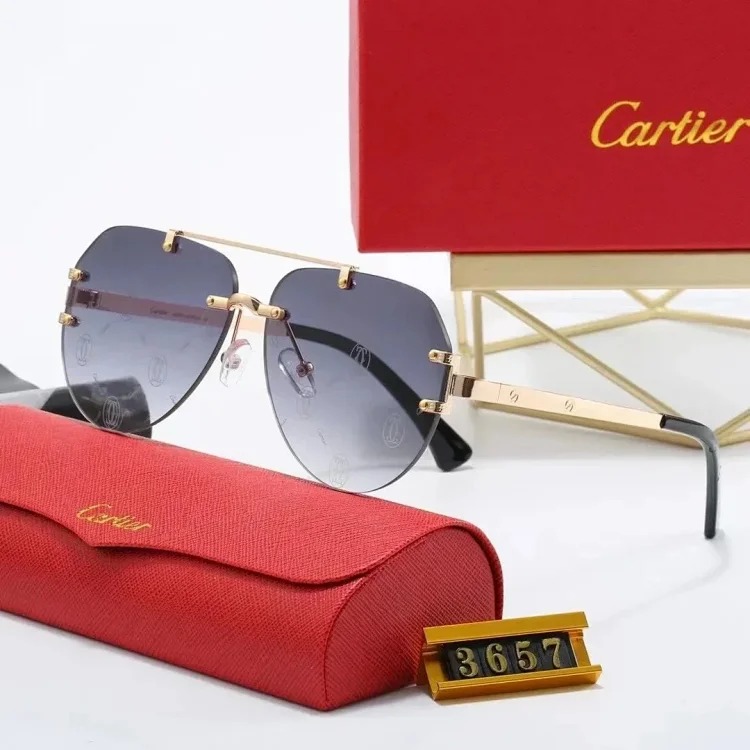 New fashion trendy sunglasses 076