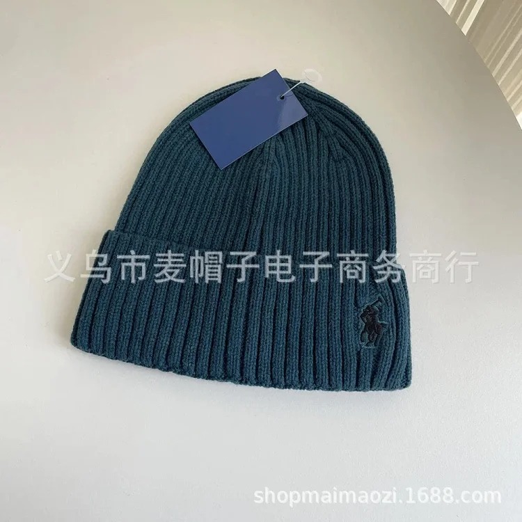 Adult autumn and winter simple embroidered knitted hats casual versatile woolen hats for men and women warm ear protection hats foreign trade