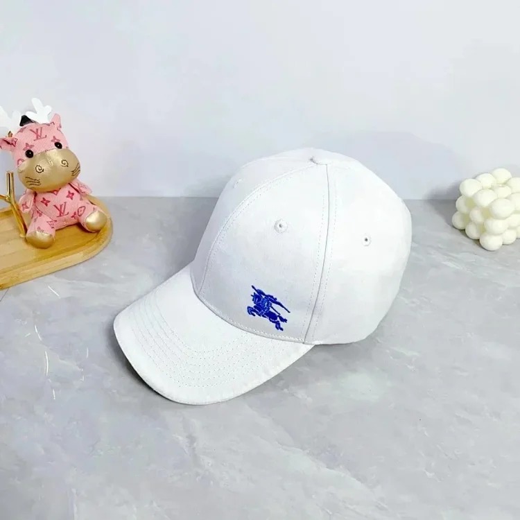 Fashionable and versatile hat 006