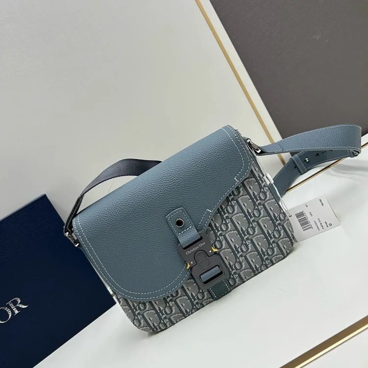 Dior Saddle bag messenger bag series collection. Grained cow leather